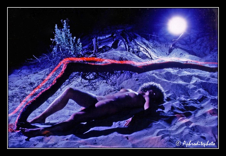 13 La lueur nocturne 1